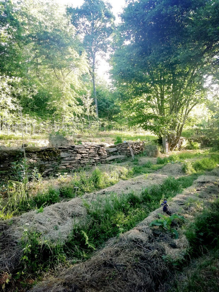 GreenGo Gîte Occitanie Évasion