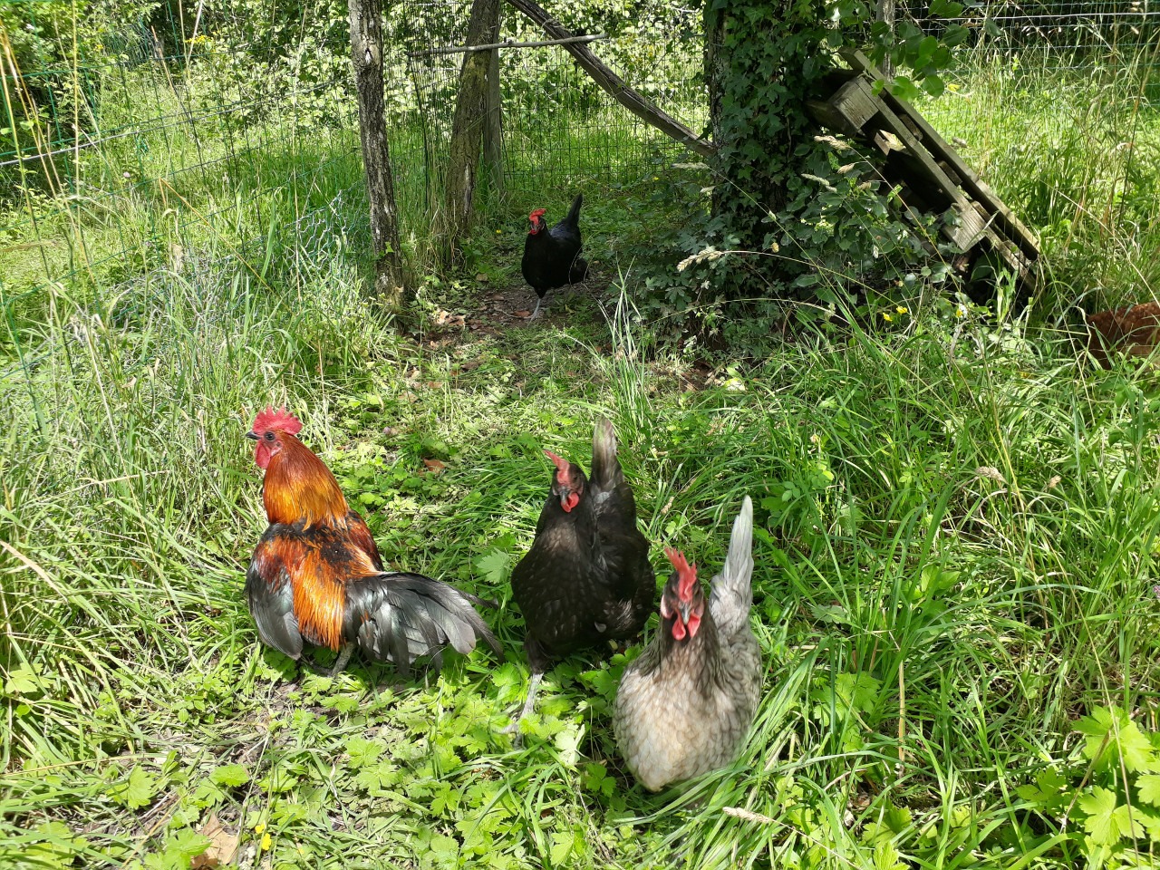 GreenGo Gîte Bourgogne-Franche-Comté À la campagne