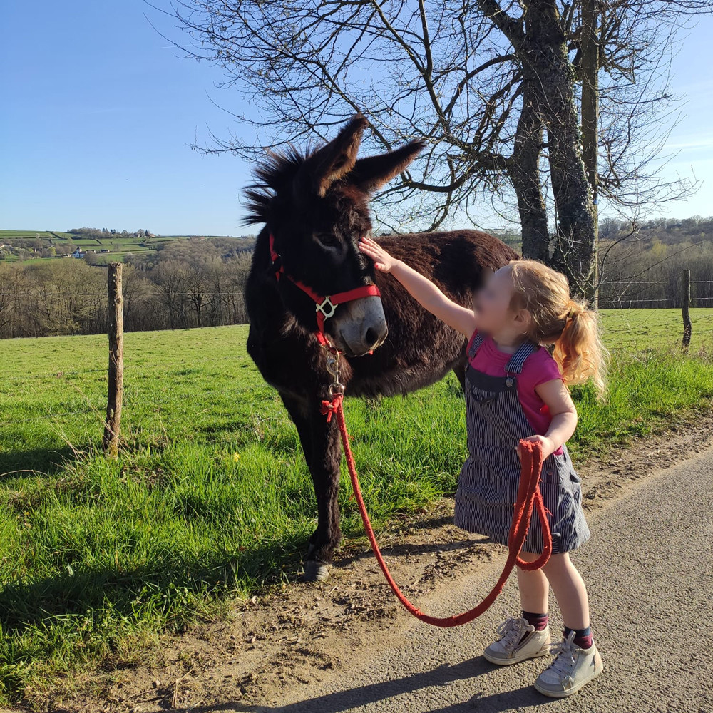 Location Yonne Glamping