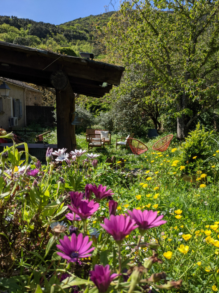 GreenGo Chambre d’hôtes Corse À la campagne