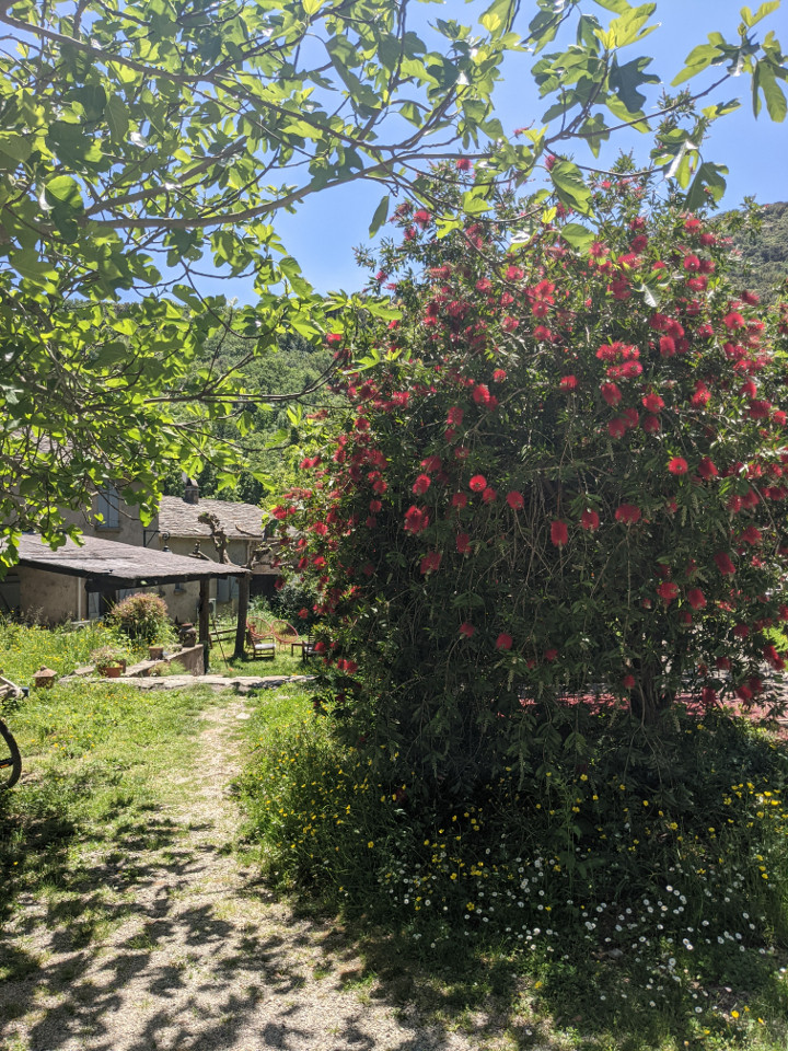 Haute-Corse Authentique