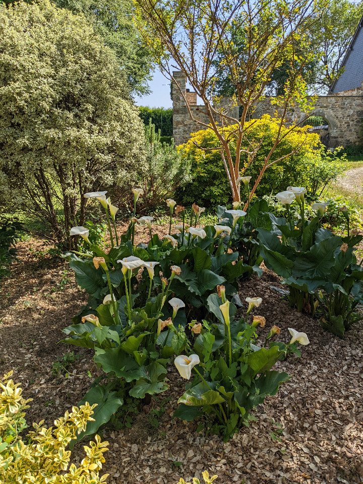 GreenGo Chambre d’hôtes Bretagne Évasion