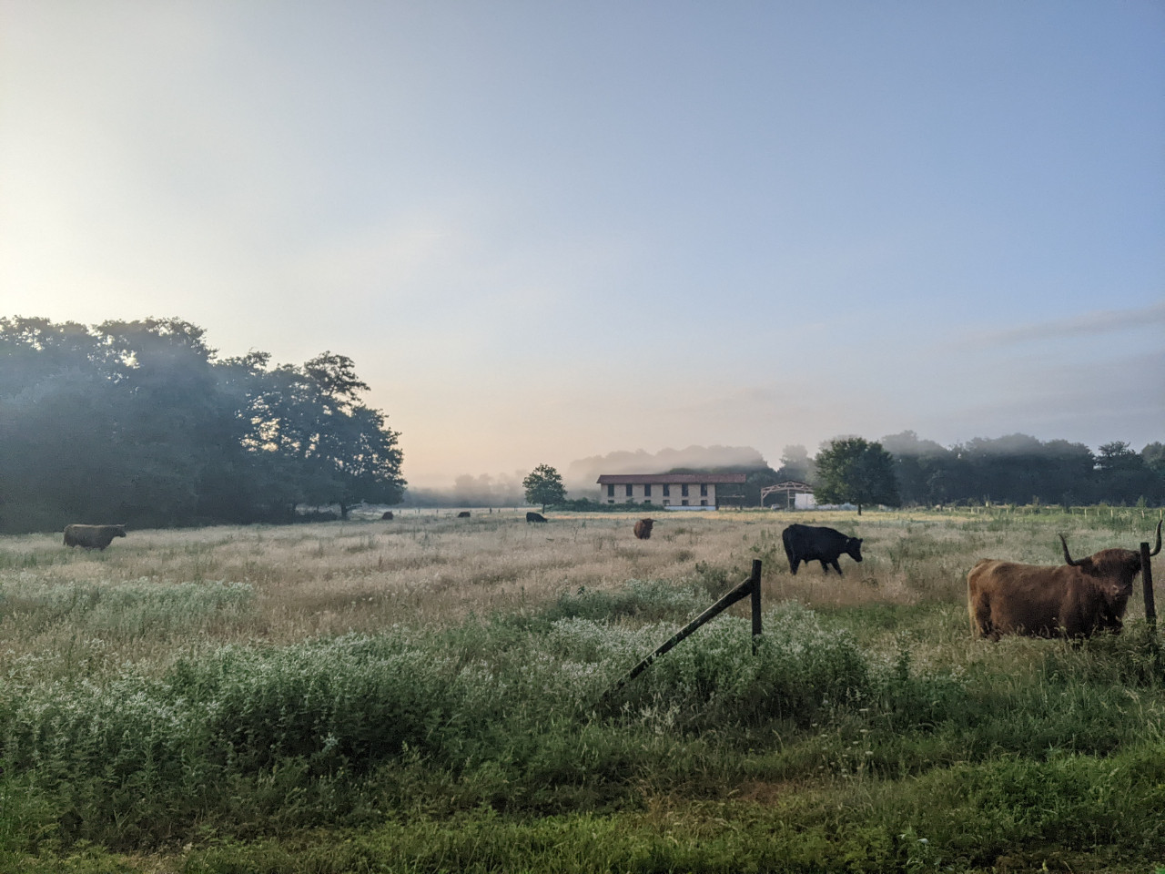 Écovillage Landes À la campagne