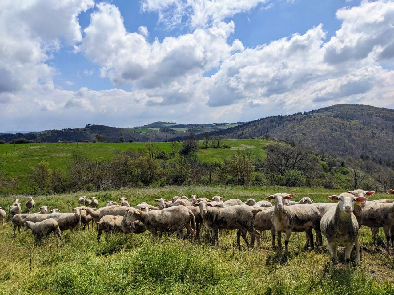 GreenGo location vacances écoresponsables