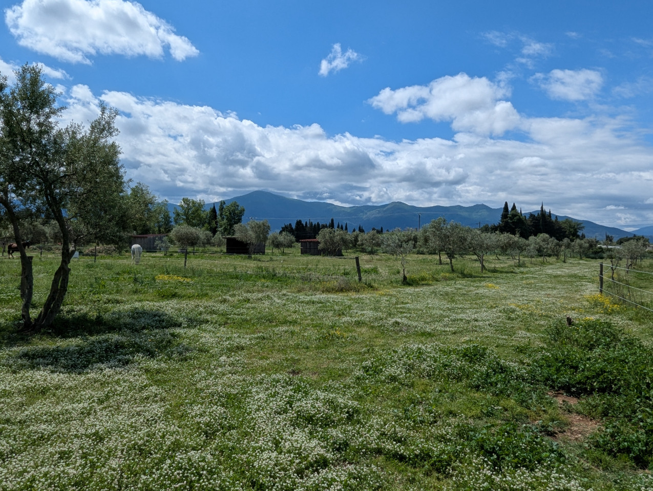 GreenGo Le gîte des Oliviers