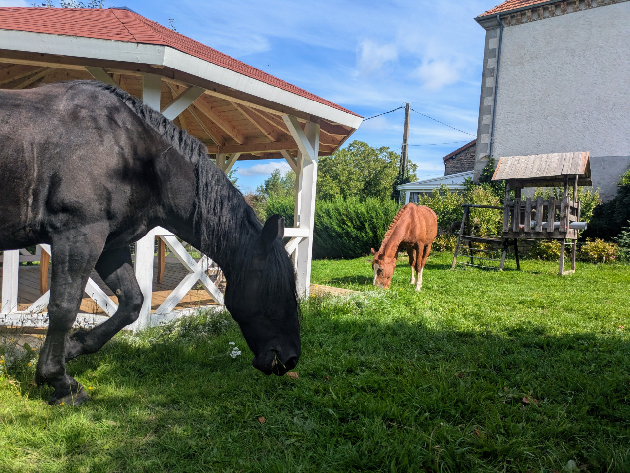  Puy-de-Dôme À la campagne