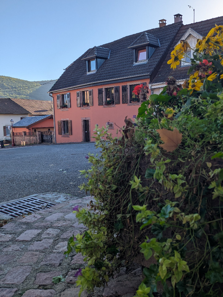 GreenGo Location Grand Est Haut-de-gamme