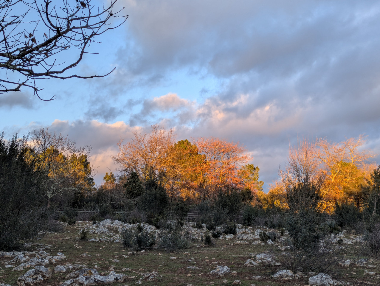 GreenGo Le domaine du celtis