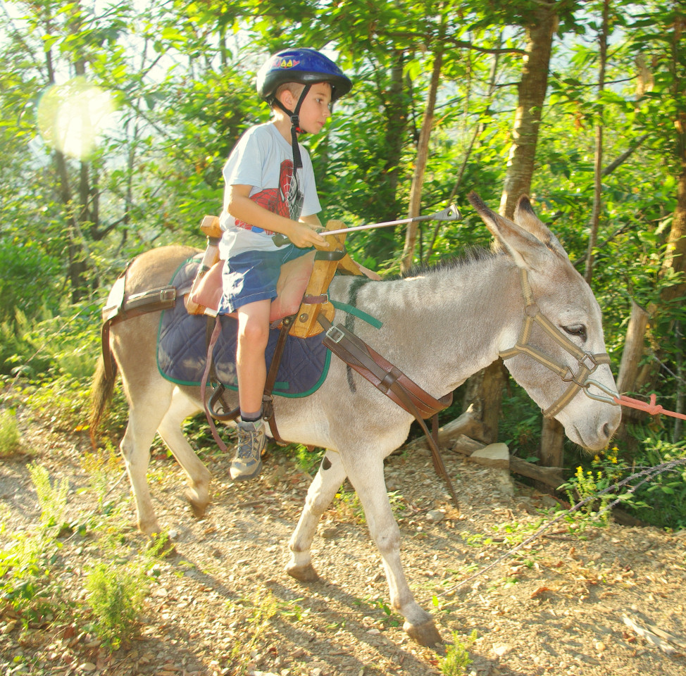 Camping Haute-Corse En forêt