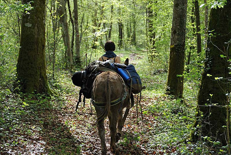 GreenGo Chemins de Traverse : tentes et roulottes