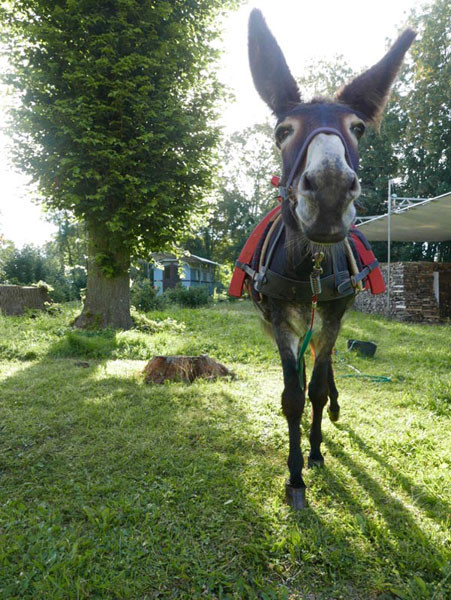 GreenGo Gîte Bourgogne-Franche-Comté Évasion