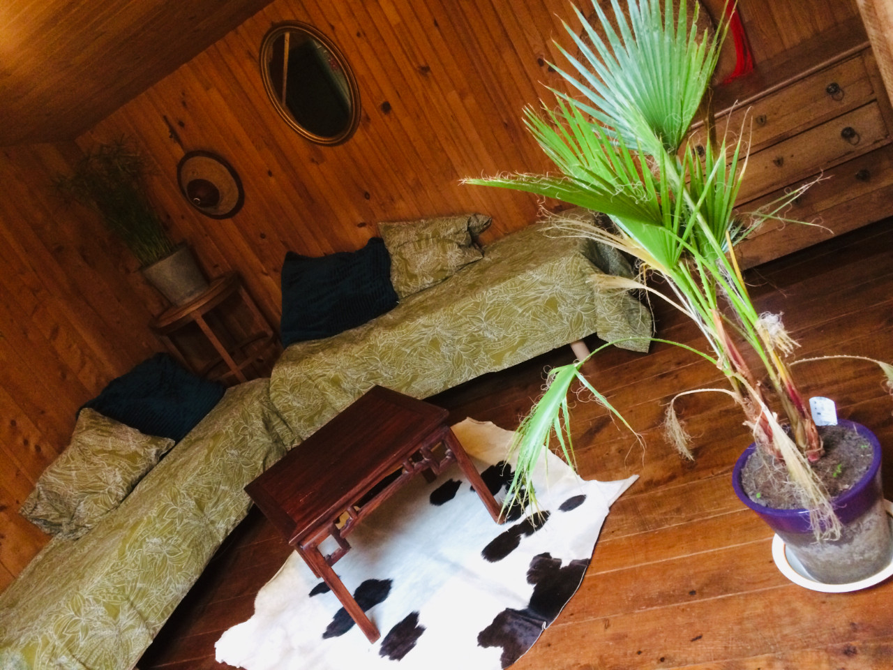 GreenGo Gîte Bretagne Évasion