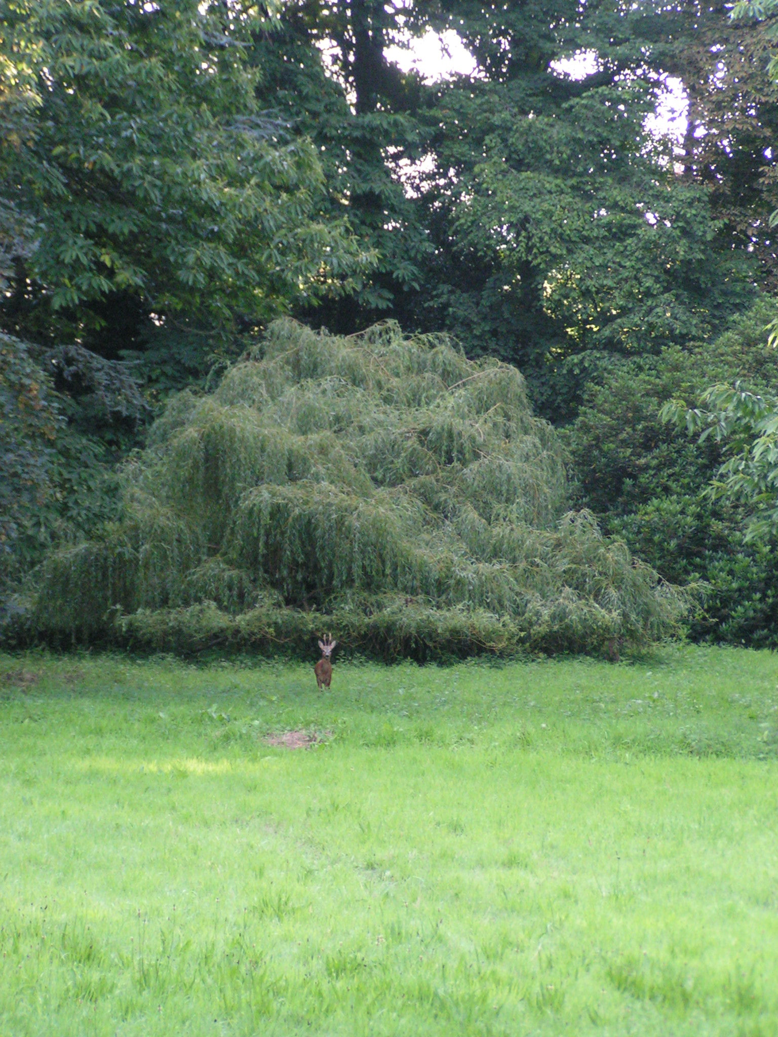 GreenGo Clos St Bertin