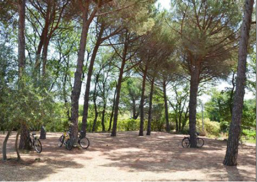 Hôte GreenGo: Villa Tempora