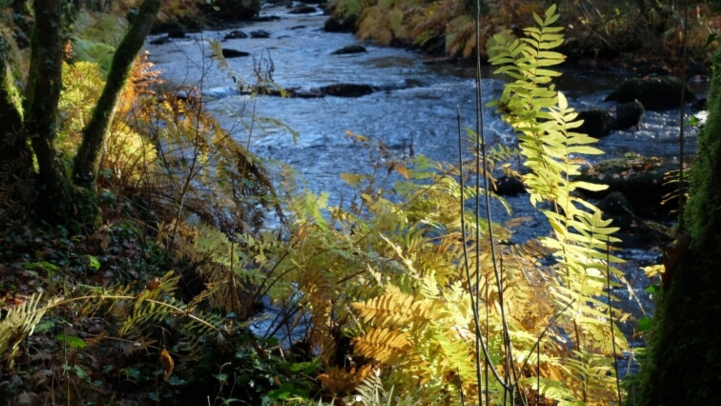 Morbihan À la campagne
