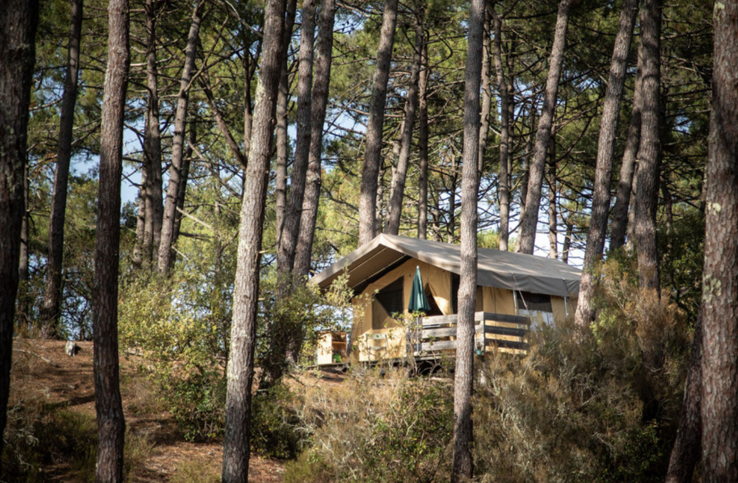 GreenGo location vacances écoresponsables