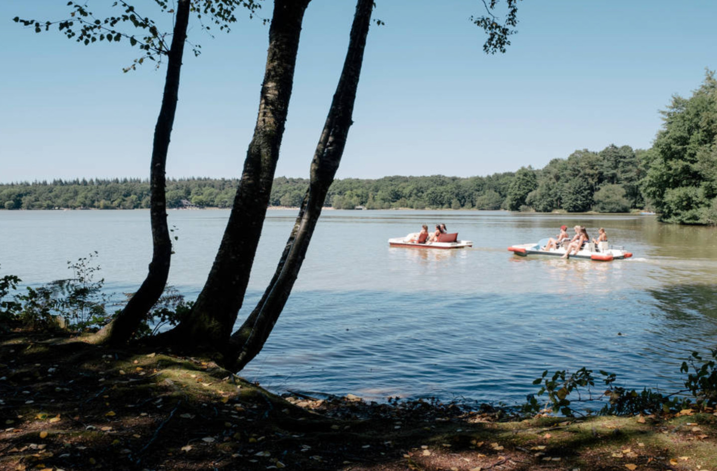 GreenGo location vacances écoresponsables