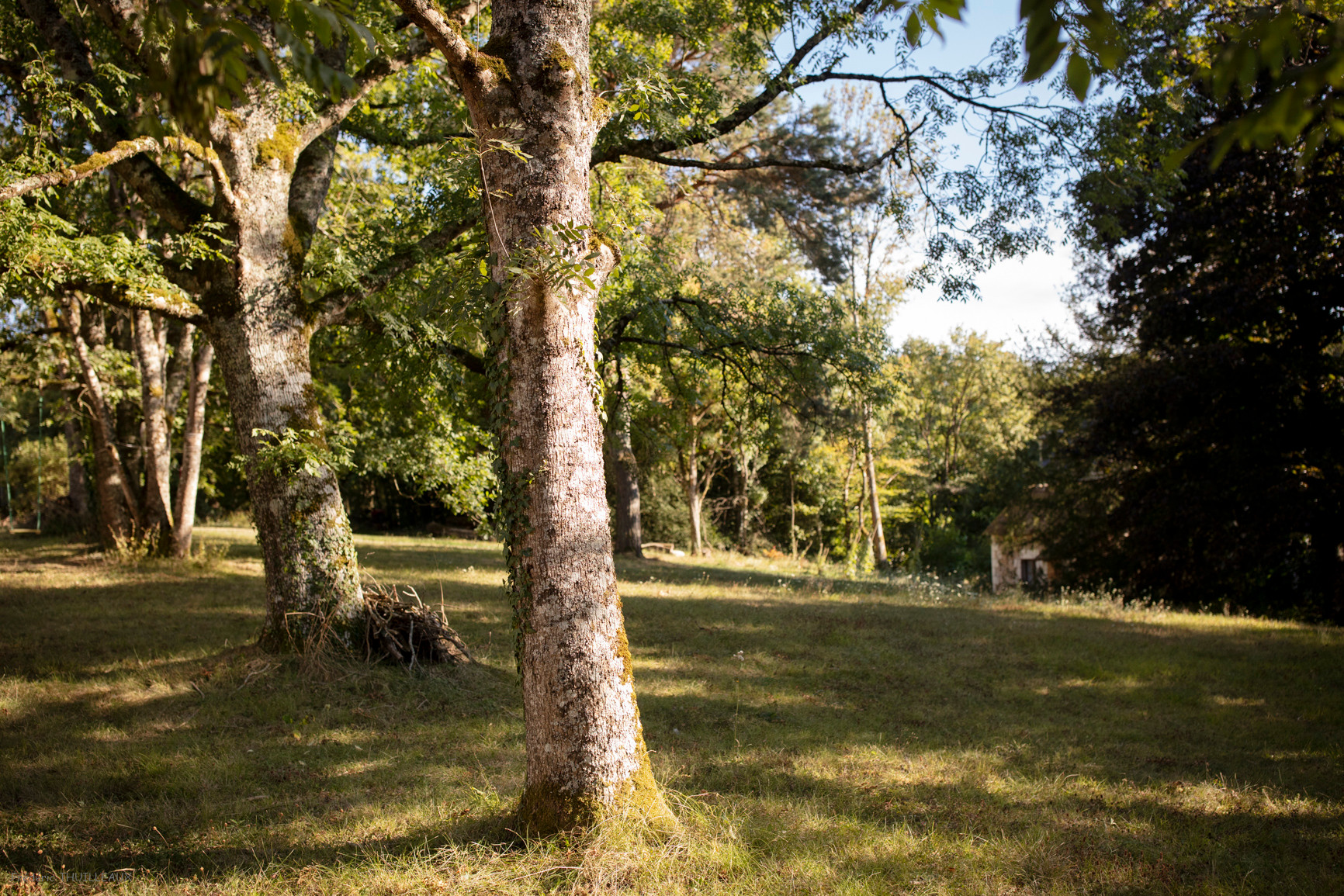 GreenGo location vacances écoresponsables