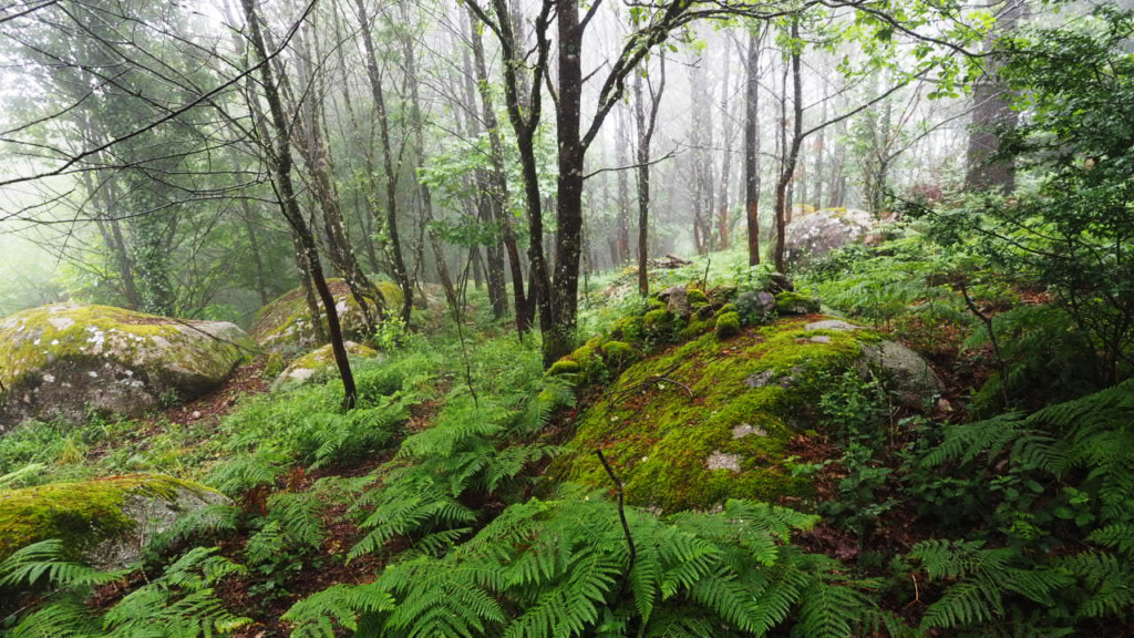 Tarn Gîte de groupe