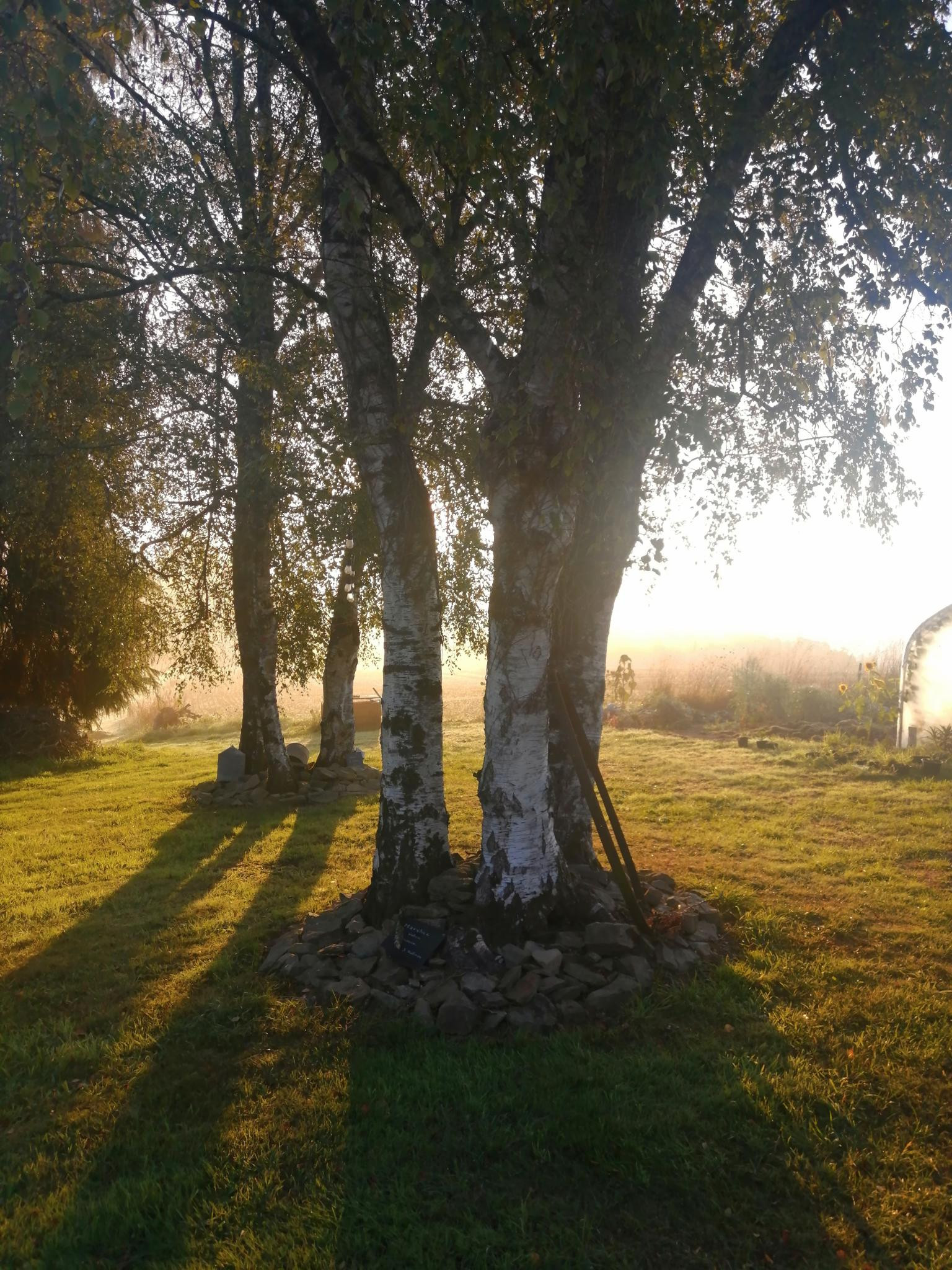 Finistère Bien-être