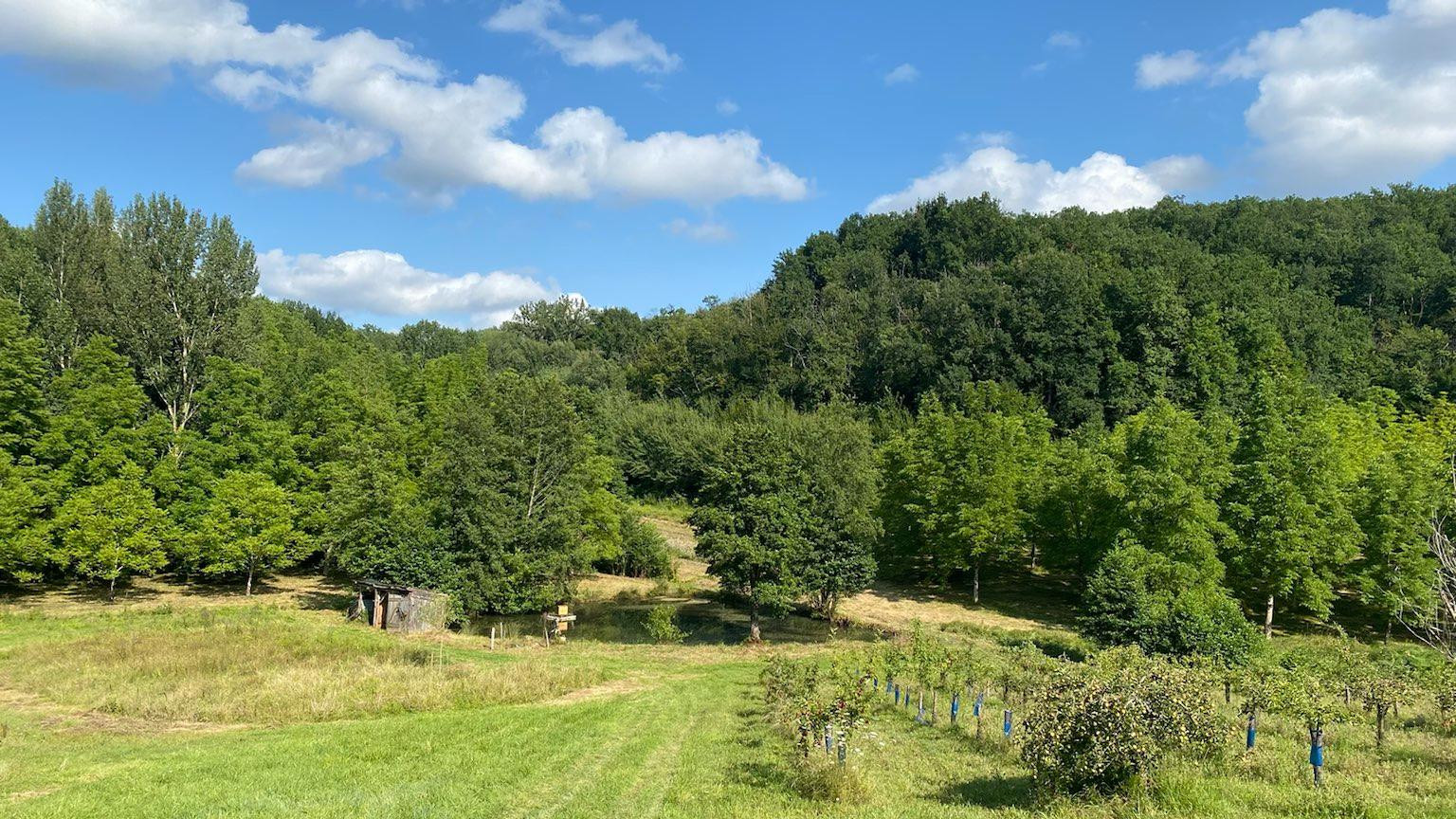 GreenGo location vacances écoresponsables
