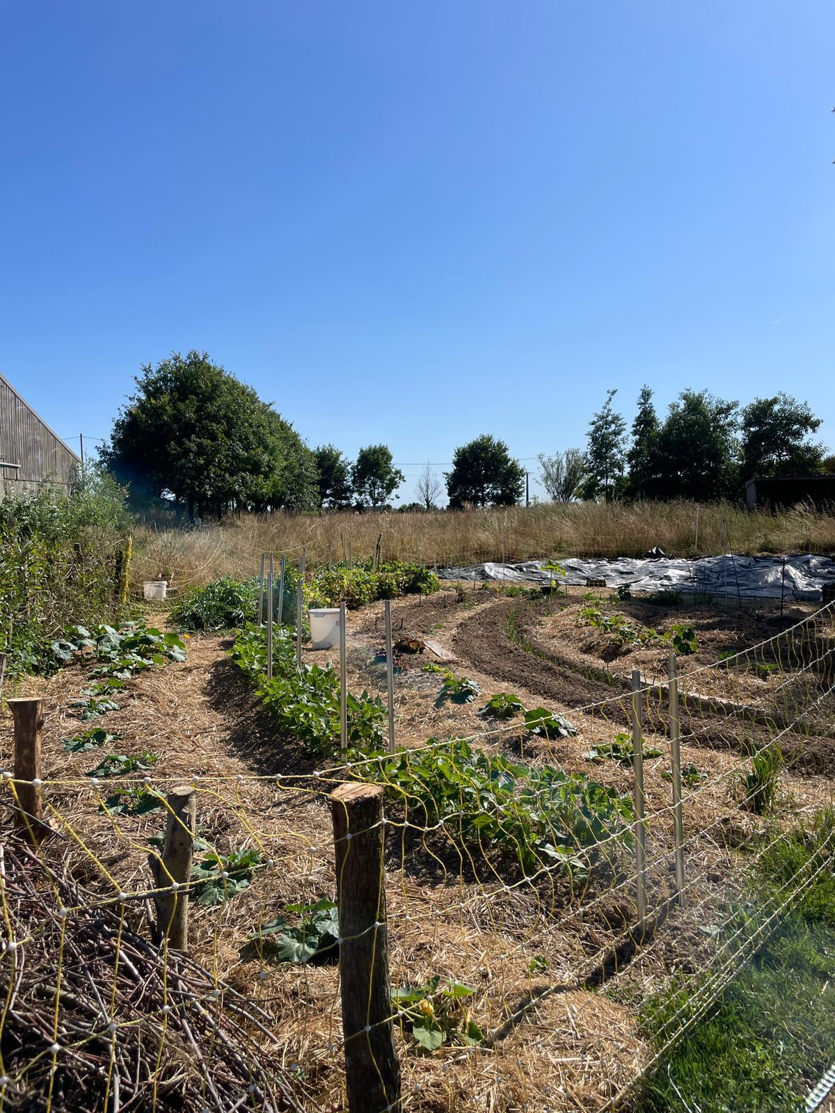GreenGo Gîte Bretagne Évasion