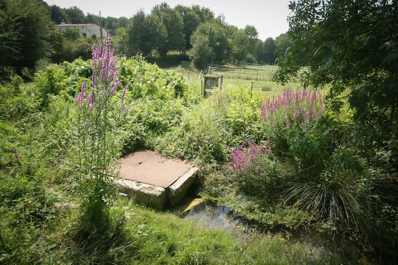 GreenGo location vacances écoresponsables