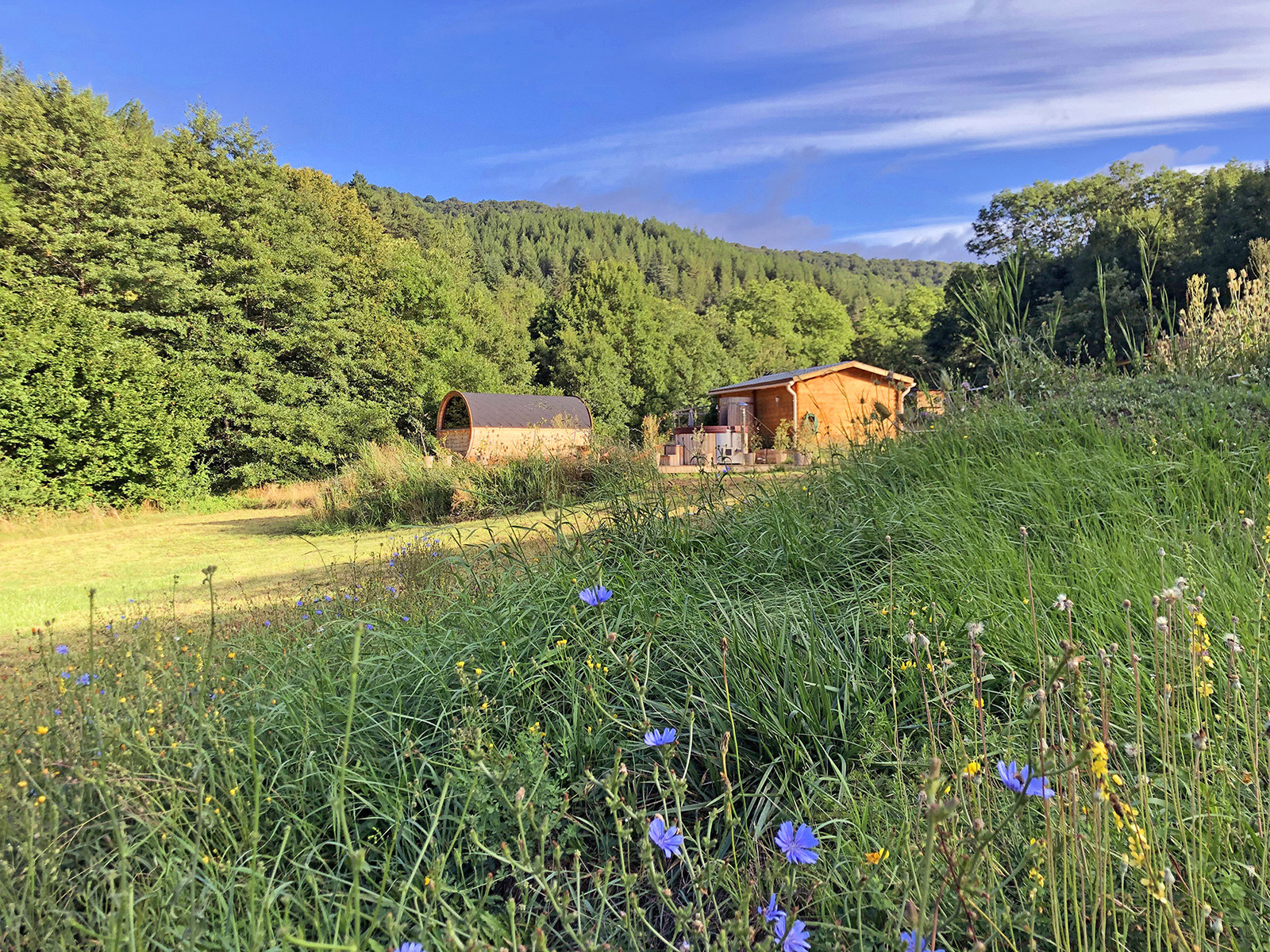 GreenGo Cosy Nature