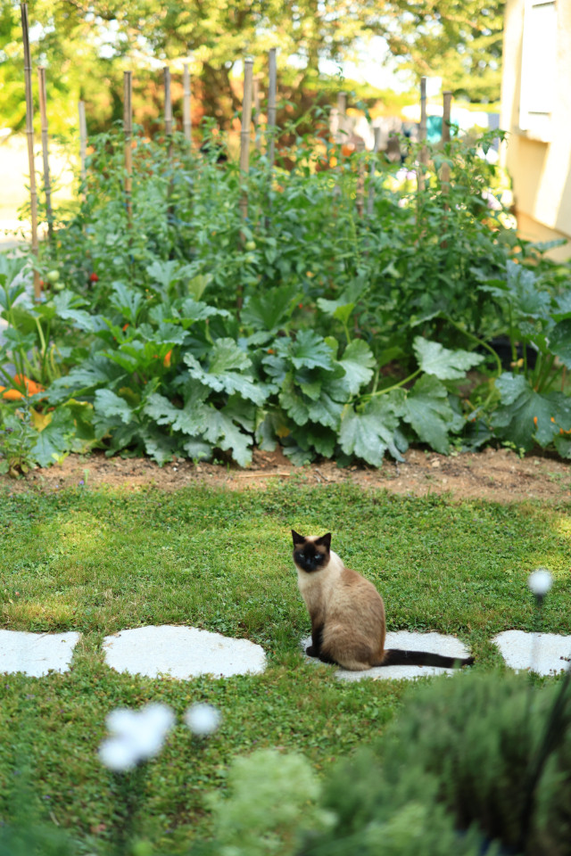 GreenGo Gîte Occitanie Évasion