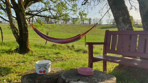 Camping Lot À la campagne
