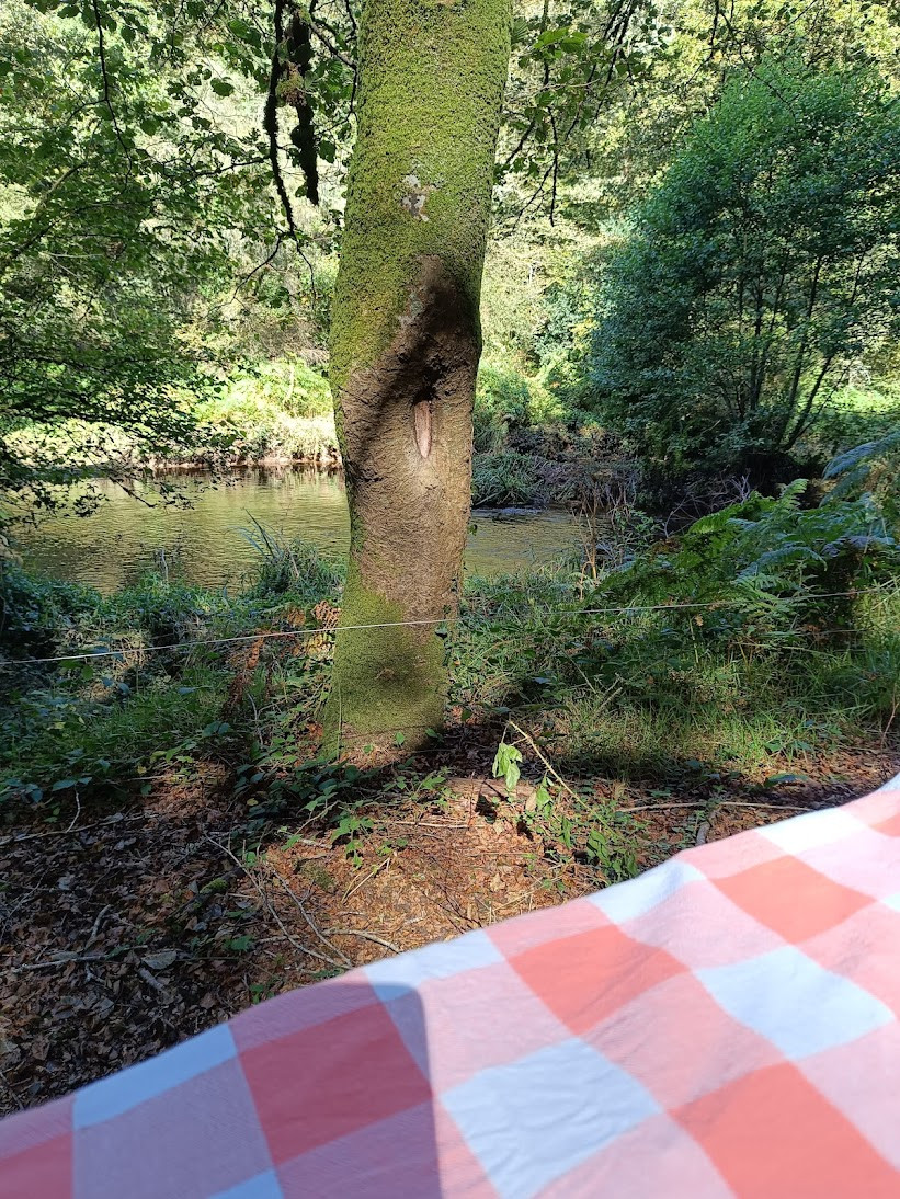 Location Morbihan À la campagne