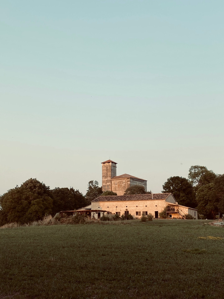 Maison Droles d'oiseaux