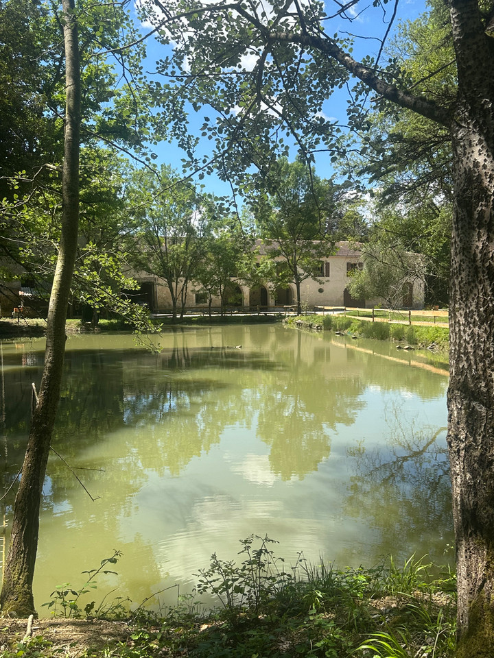 GreenGo Chambre d’hôtes Occitanie À la campagne