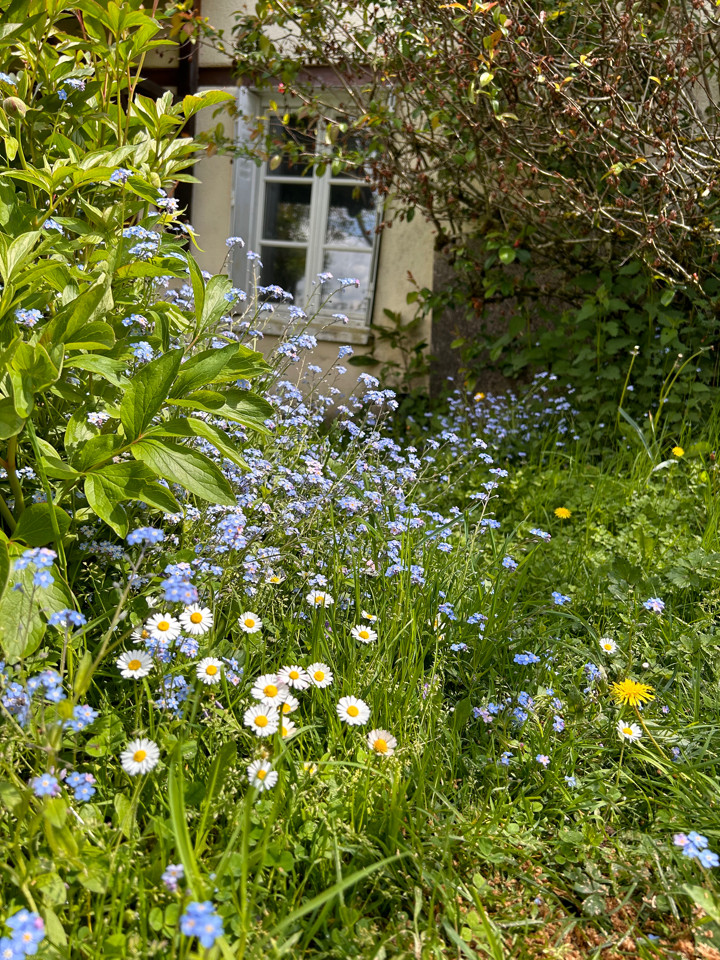  Corrèze À la campagne