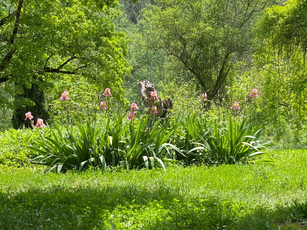GreenGo Mas Bernadis, en Cévennes