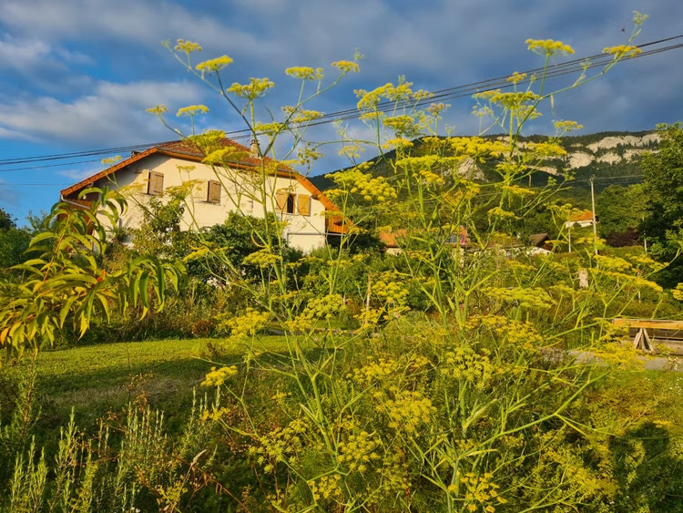 Petit Gîte à la ferme "le Pesset". Massif des Bauges, Calme, Nature