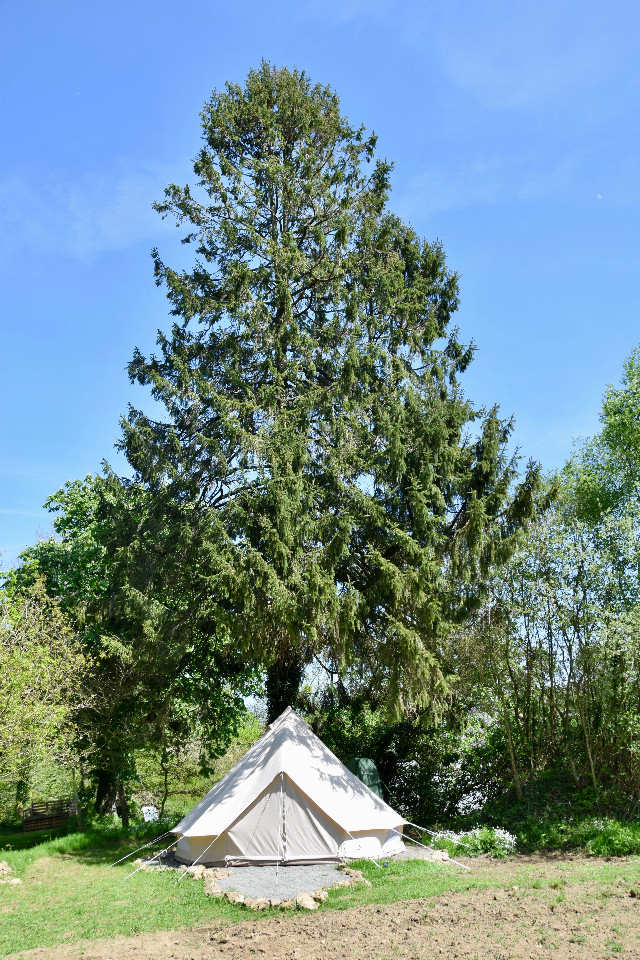 GreenGo Tente confortable nature et calme