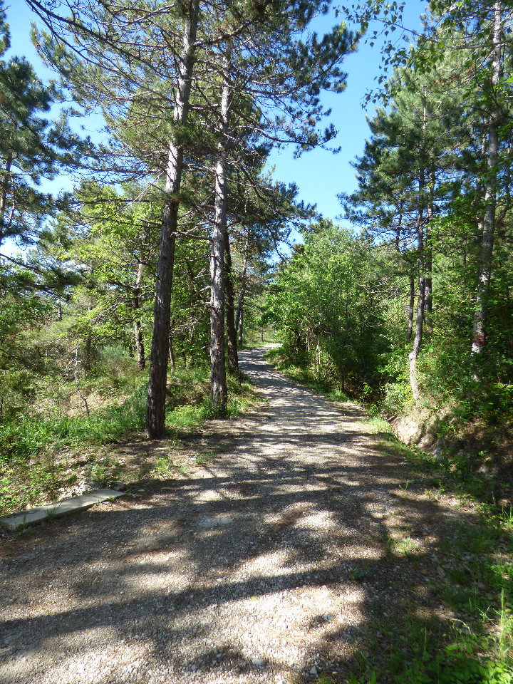 GreenGo location vacances écoresponsables