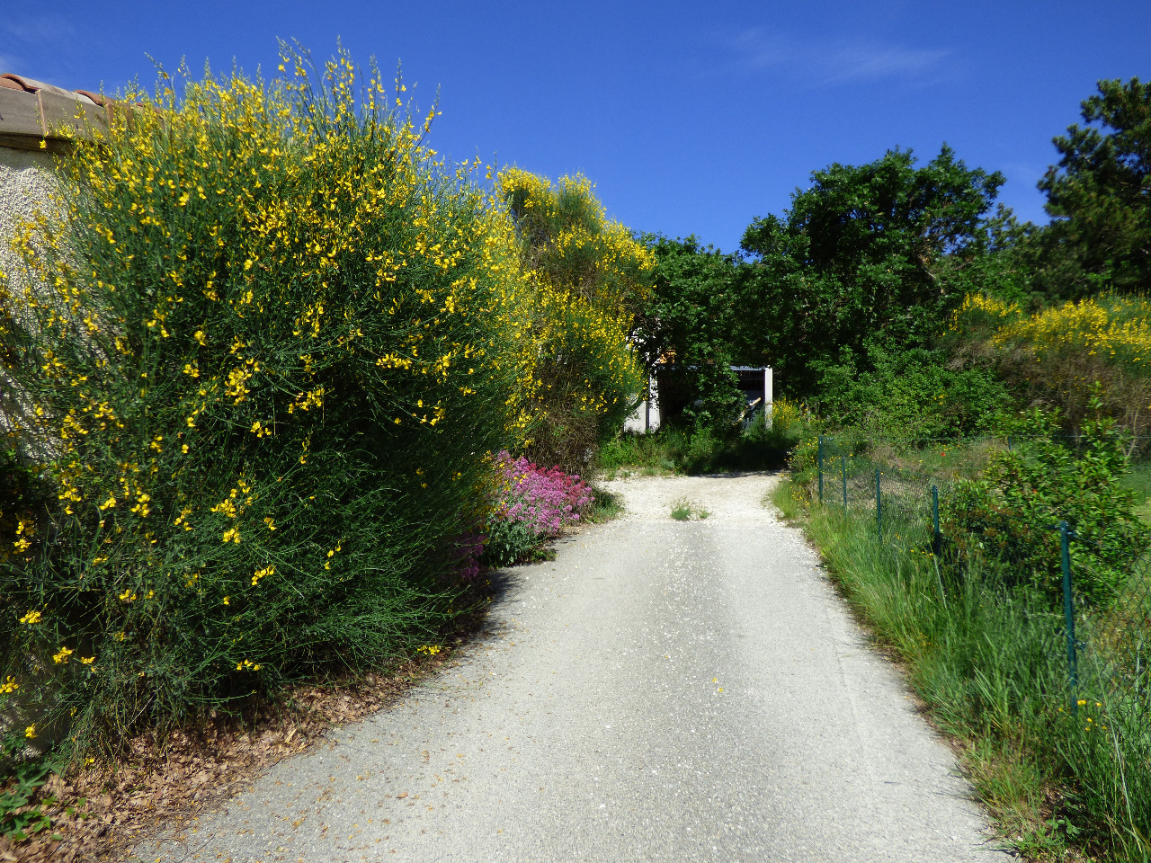 GreenGo Location Auvergne-Rhône-Alpes Évasion
