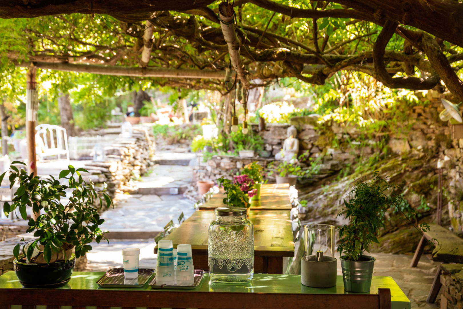 GreenGo location vacances écoresponsables