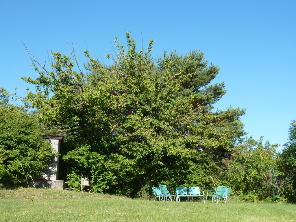GreenGo Logement insolite Auvergne-Rhône-Alpes Évasion