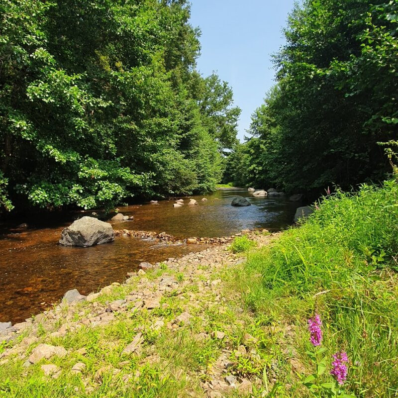 GreenGo Friendly Camping and Lodges