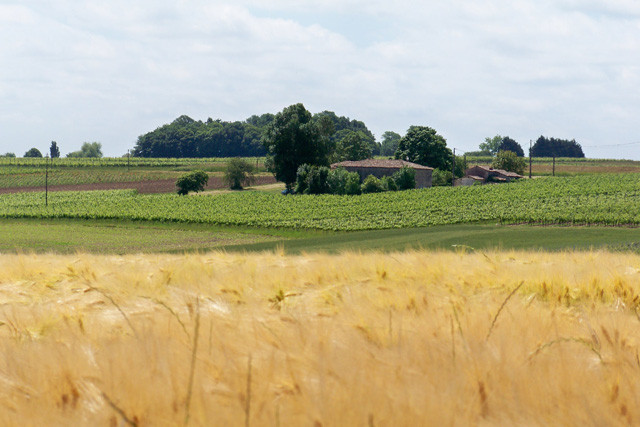 GreenGo location vacances écoresponsables