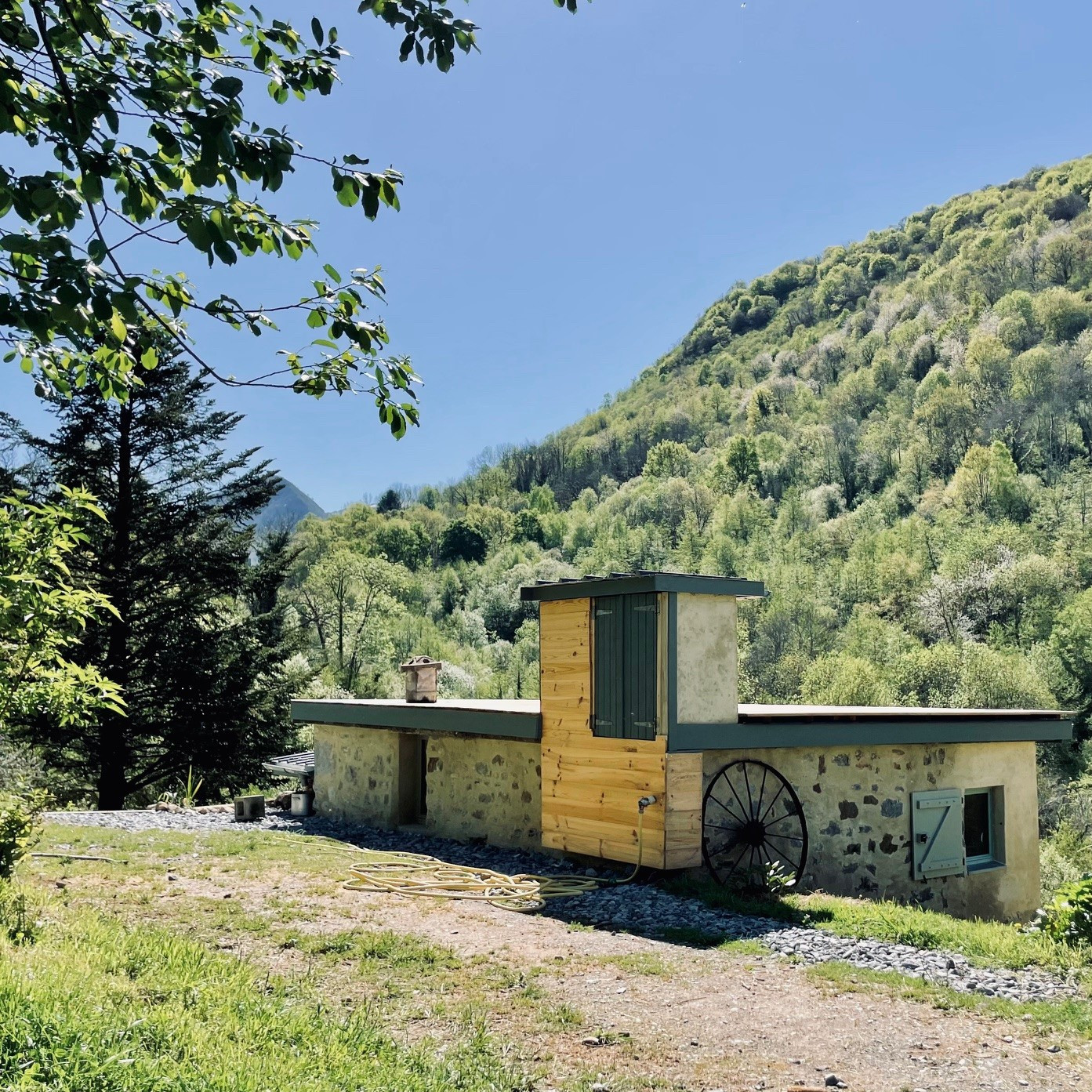 GreenGo Graines D' Hourticot