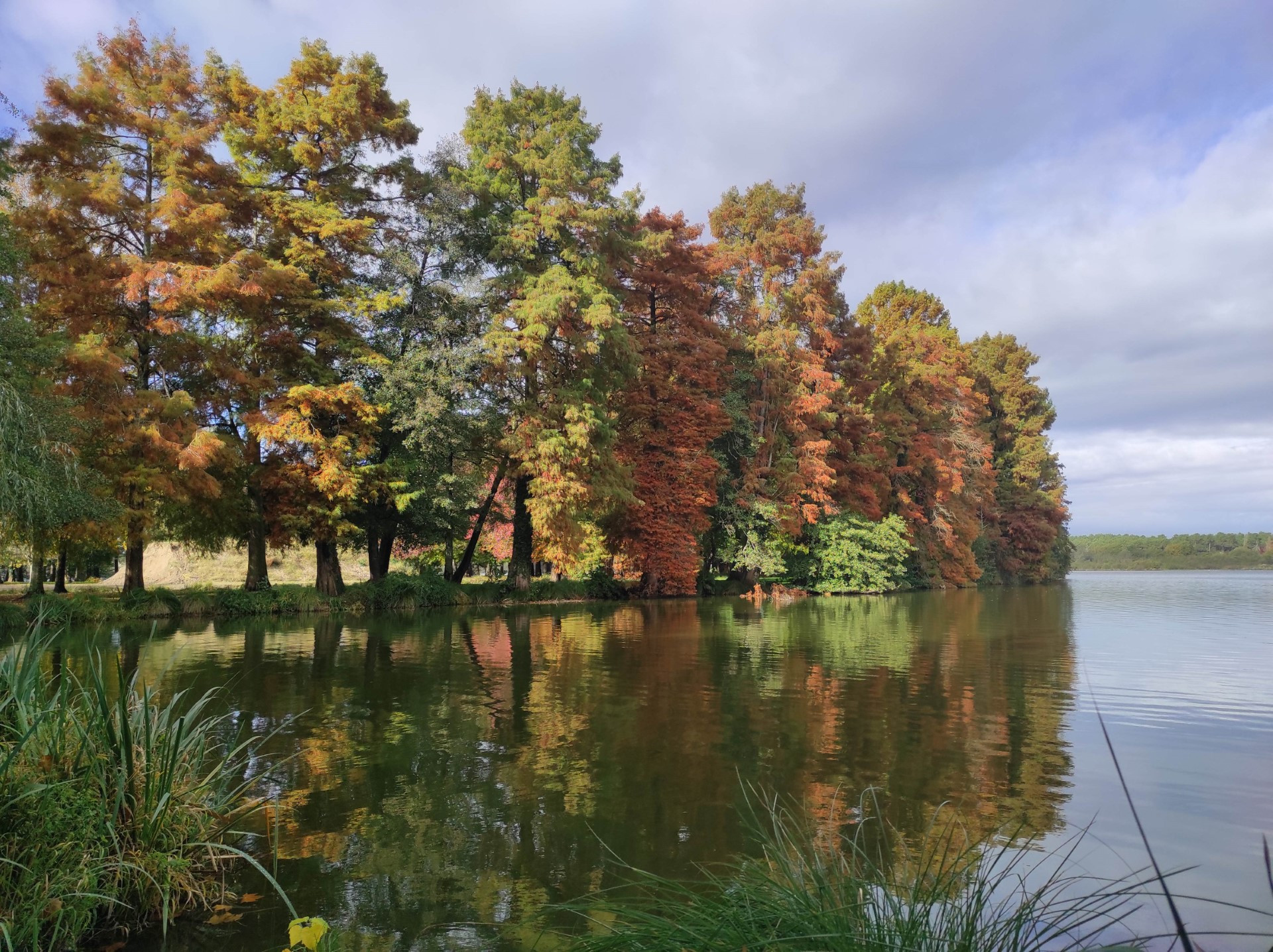 Landes En forêt