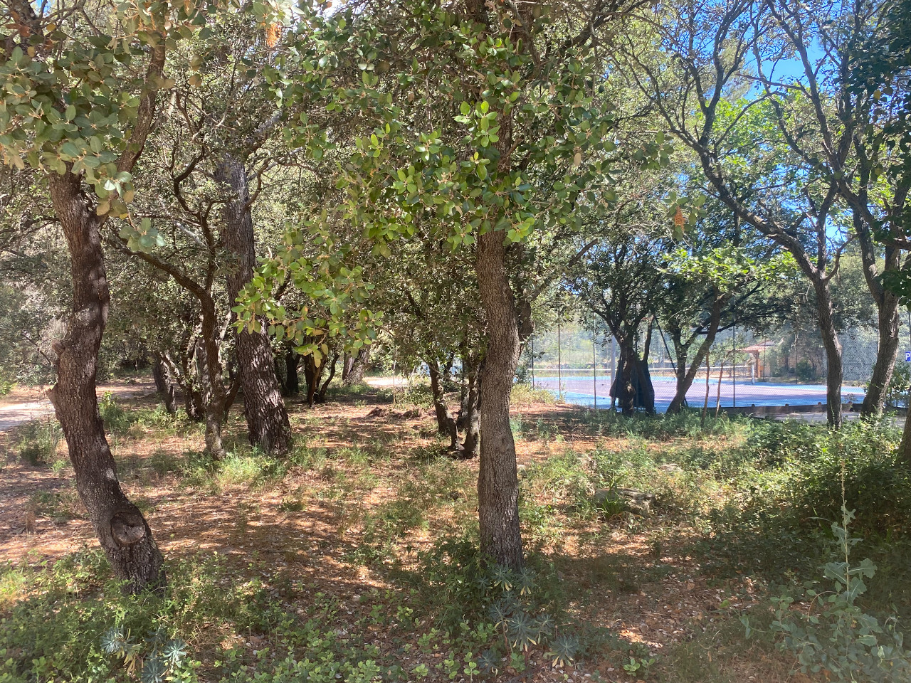 GreenGo Le Domaine d’Alèzen