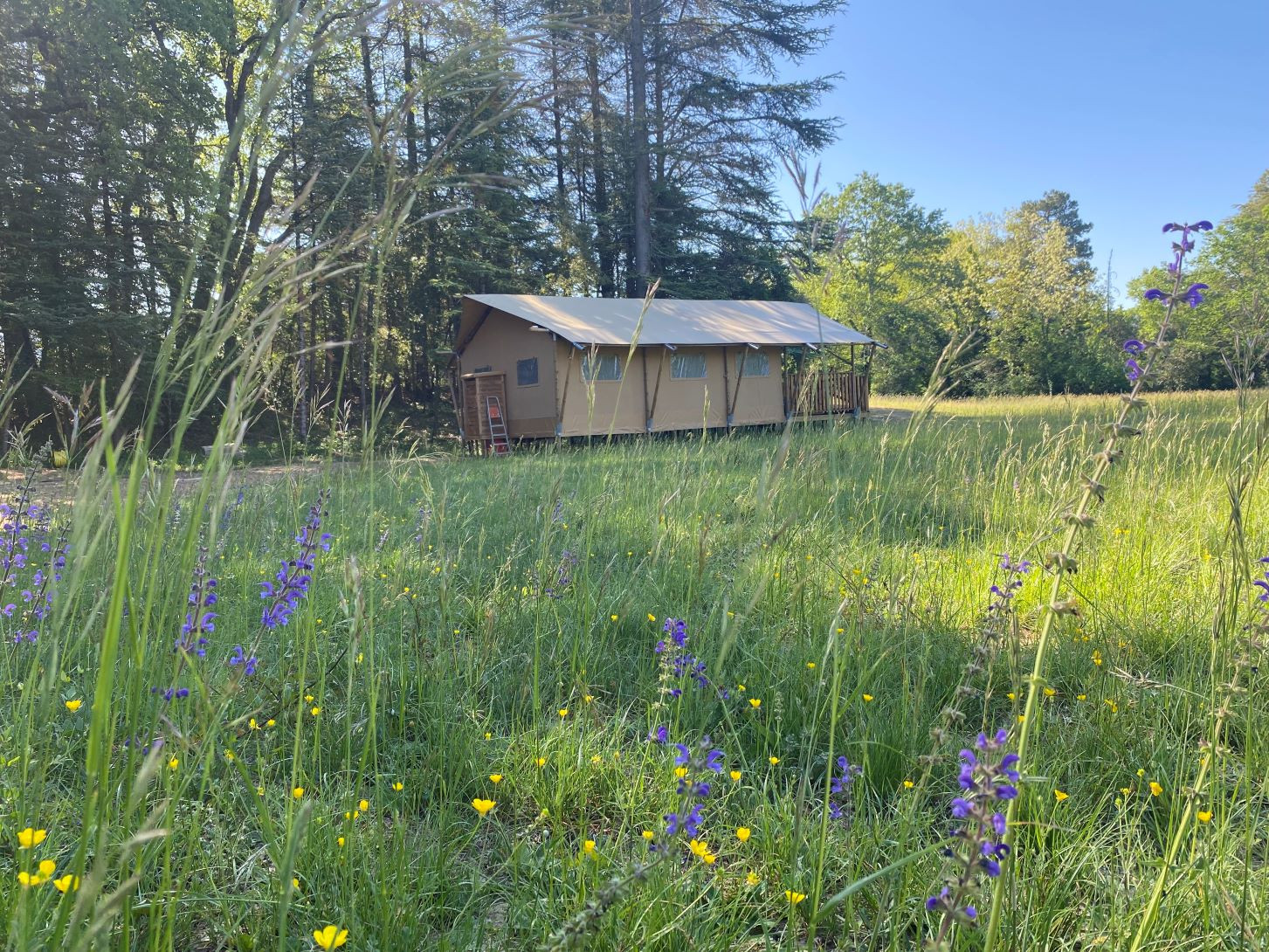 GreenGo location vacances écoresponsables