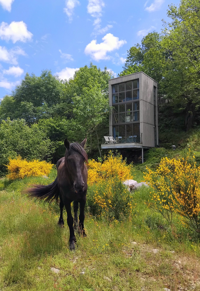 GreenGo Les cabanes du loup bleu