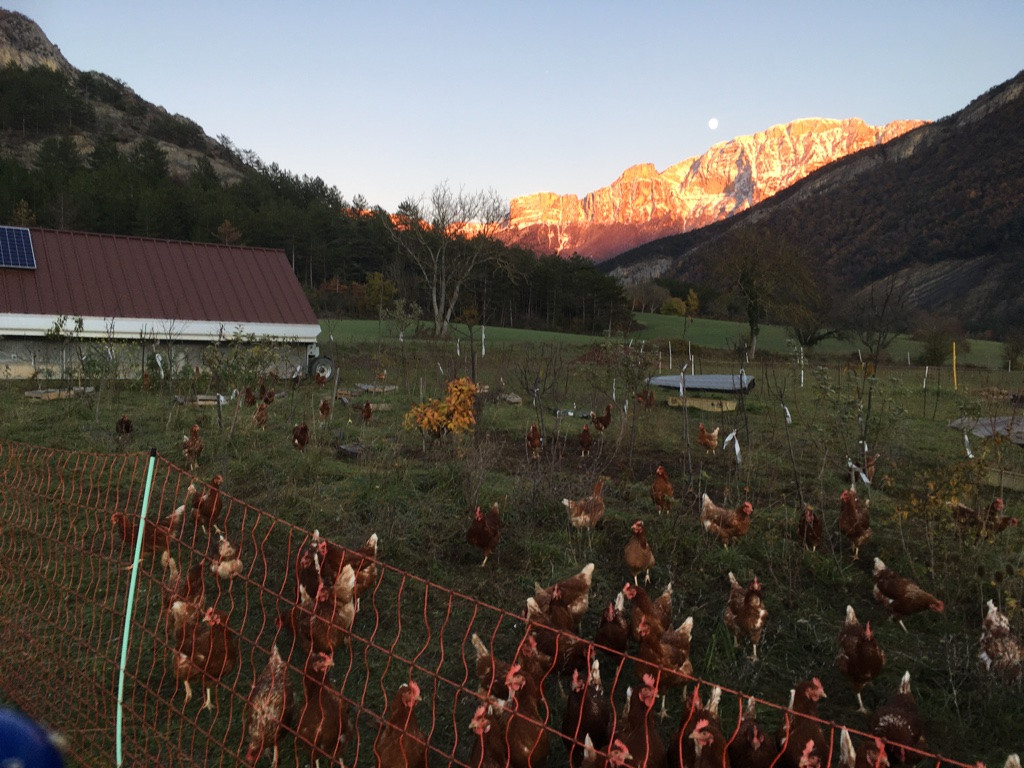 Camping Drôme Glamping