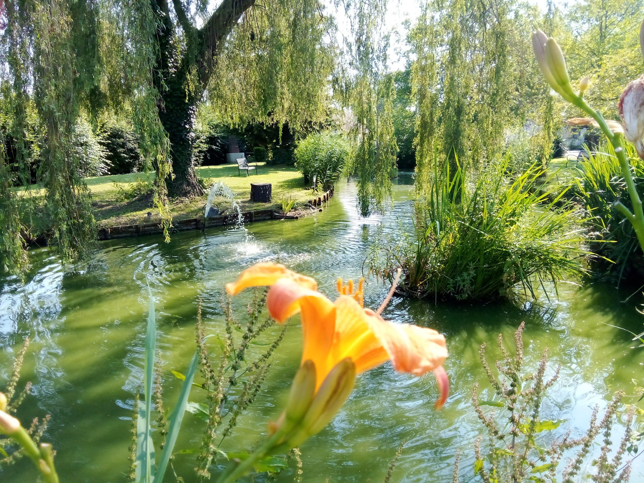 Hôte GreenGo: La Fermette du Marais chambres d'hôtes et gîtes en pleine nature avec piscine chauffée extérieure